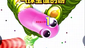 这条蛇谁家的