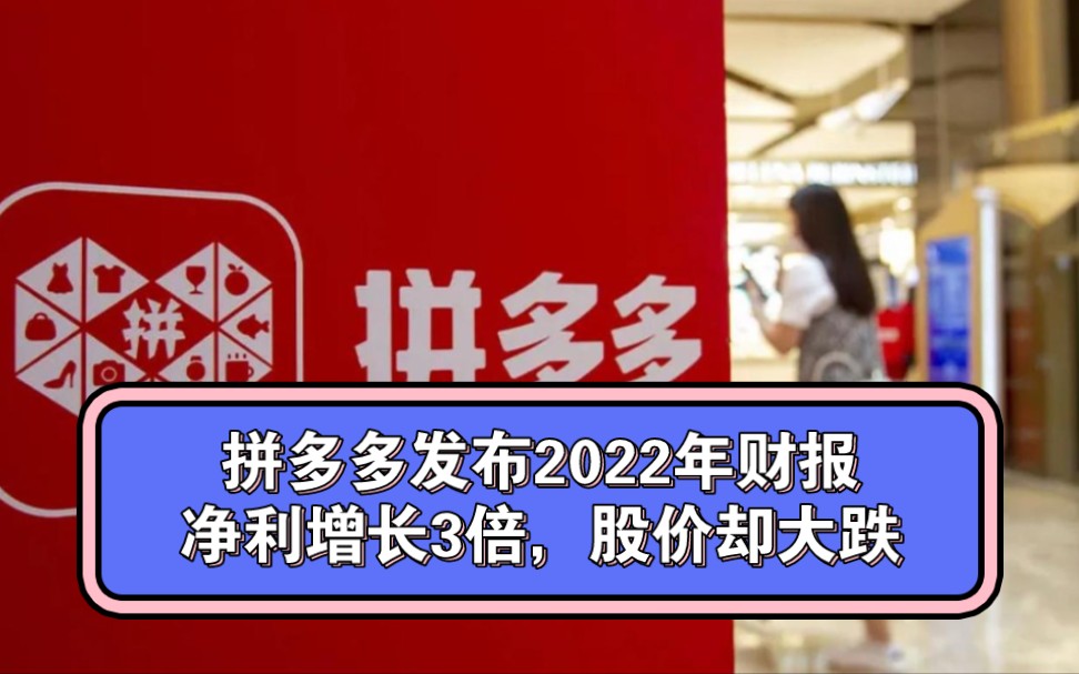 拼多多发布2022年财报,净利增长3倍,股价却大跌哔哩哔哩bilibili