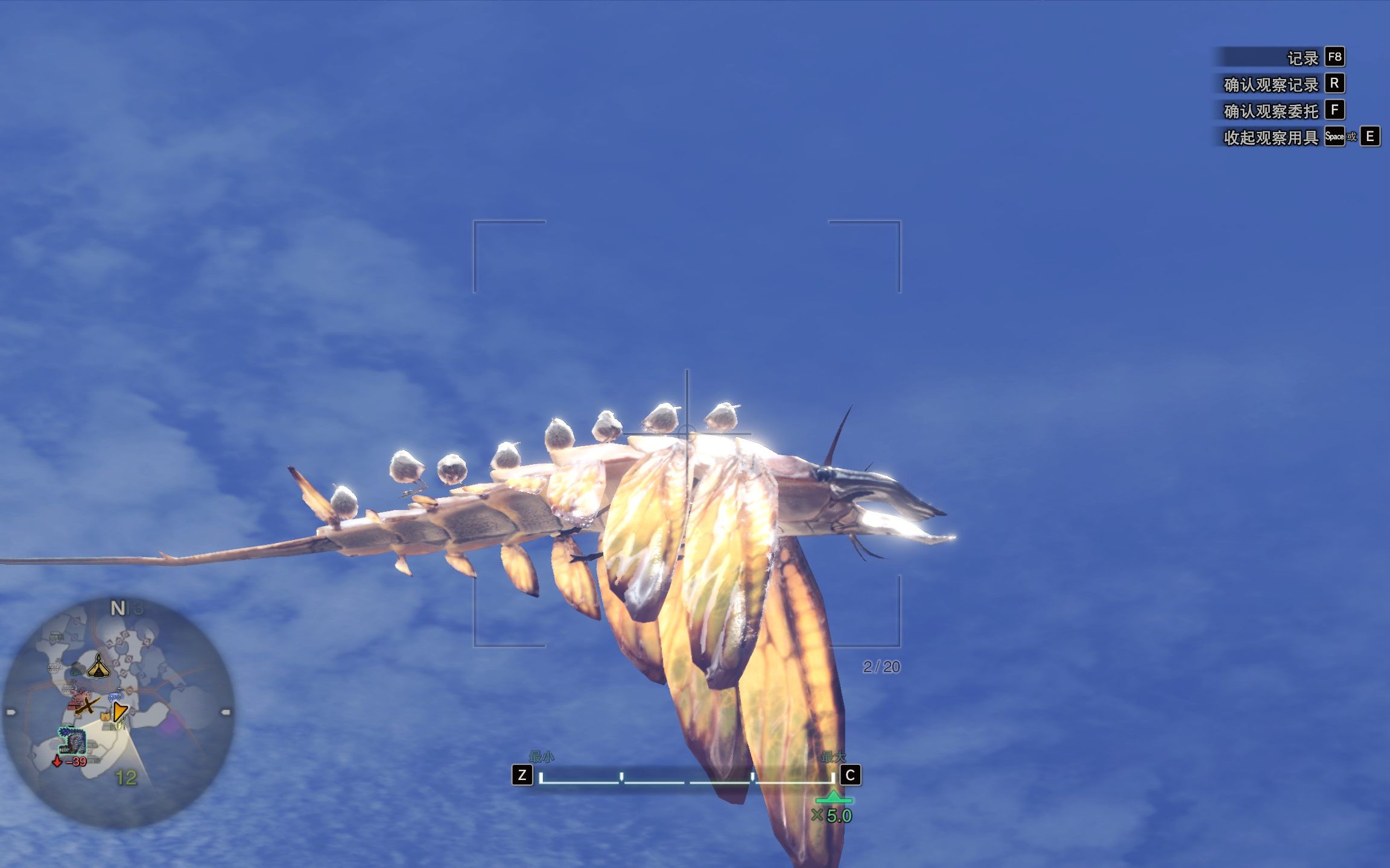 活动作品百分百出现柔毛秧鸡