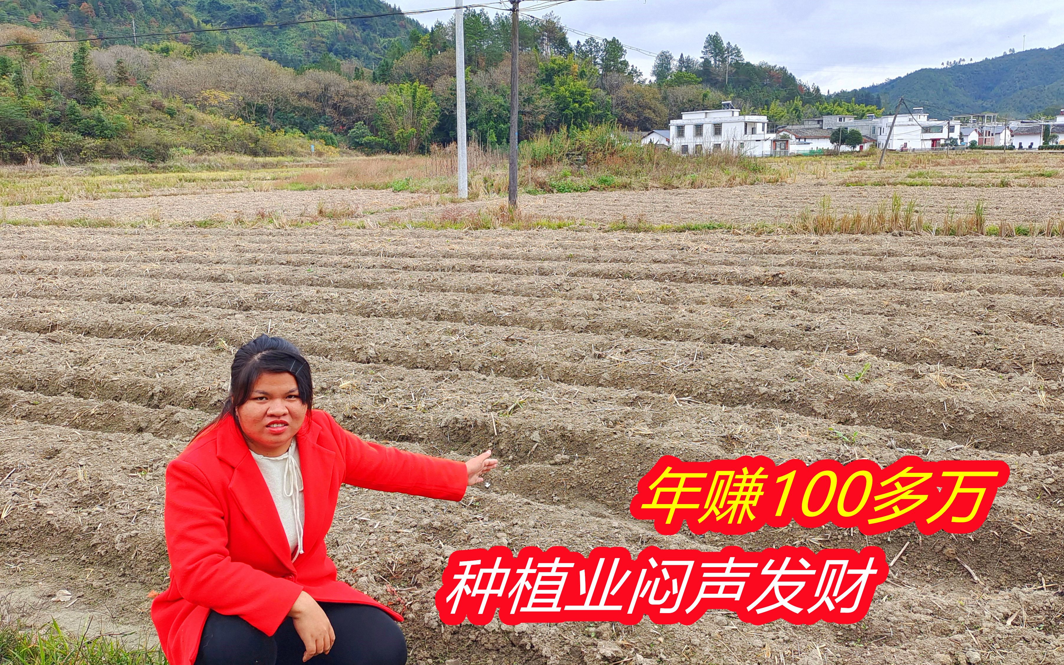 小伙在种植行业"闷声发财",靠3亩农田年赚100多万,了解下