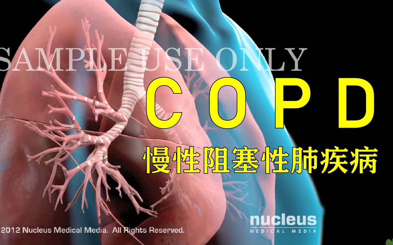 【3D医学动画】慢性阻塞性肺疾病（COPD）-bilibili(B站)无水印视频解析——6li6在线工具箱