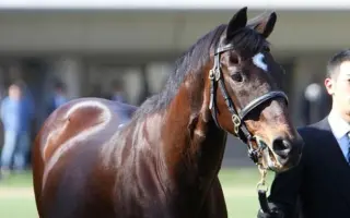 東京競馬場 搜索结果 哔哩哔哩 Bilibili