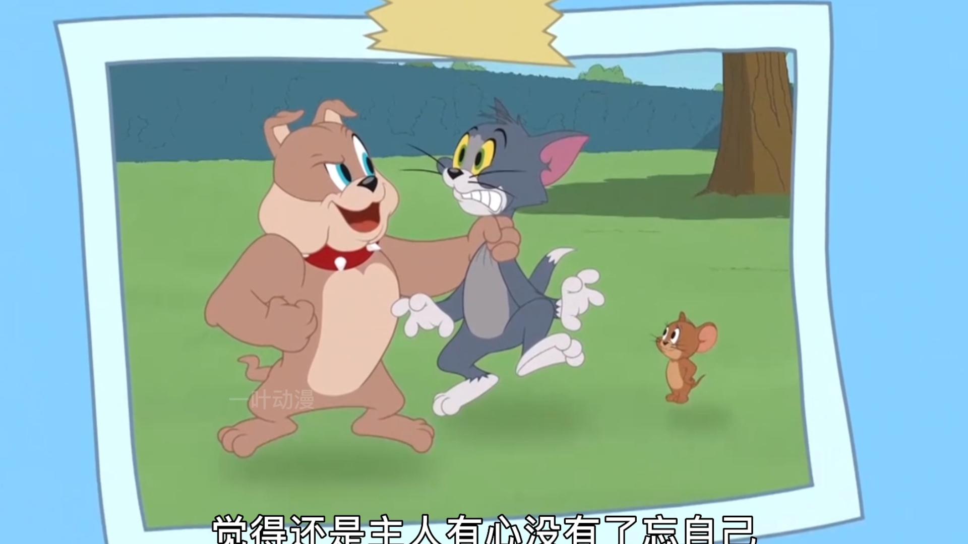 斯派克生日,汤姆和杰瑞为了争宠竞相表现自己