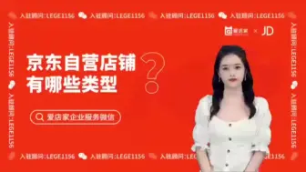 Download Video: 京东自营有哪些店铺类型？