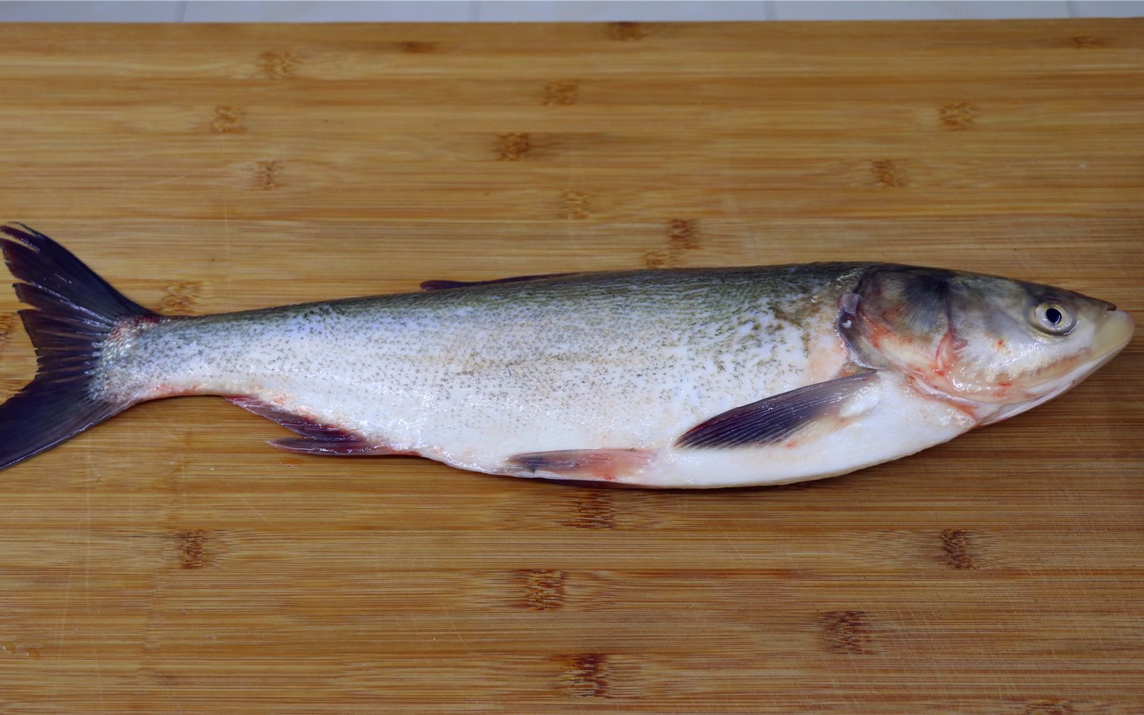 白鲢鱼很多人不喜欢吃,其实主要是做法不对,这样做