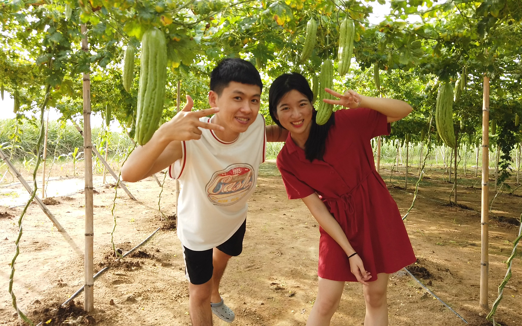 村花家真是土豪,田地都有幾十畝,阿旺都想做上門女婿了