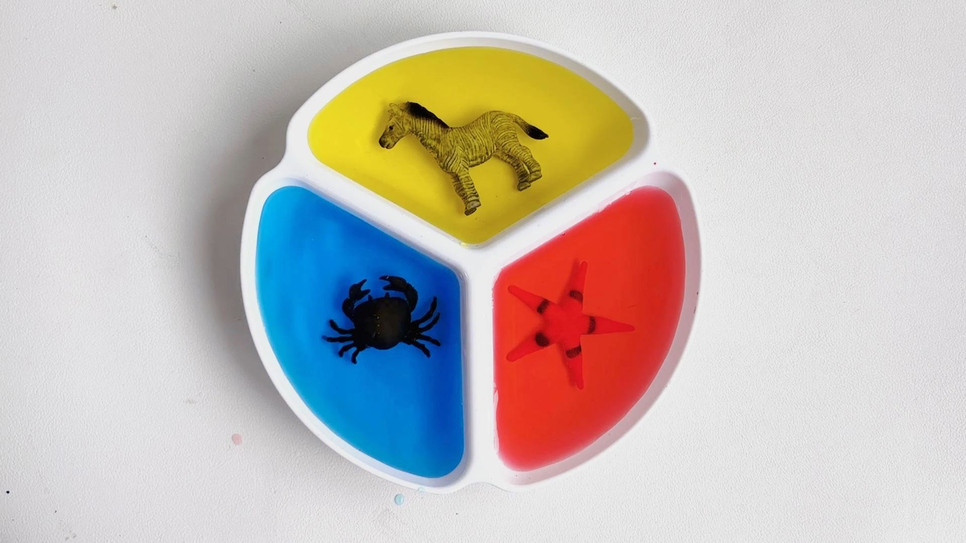 儿童早教益智玩具:认识斑马海星螃蟹等动物