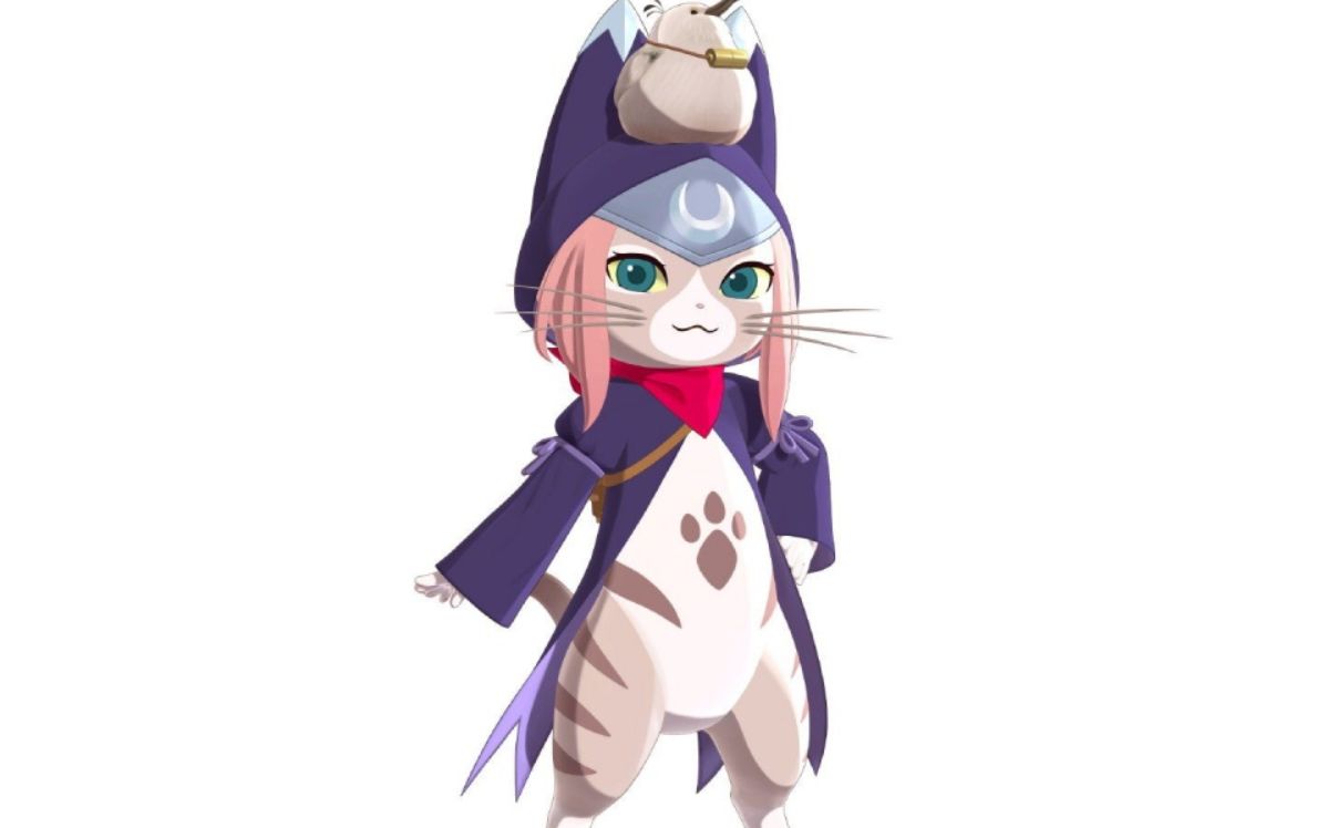 月露猫捉迷藏位置