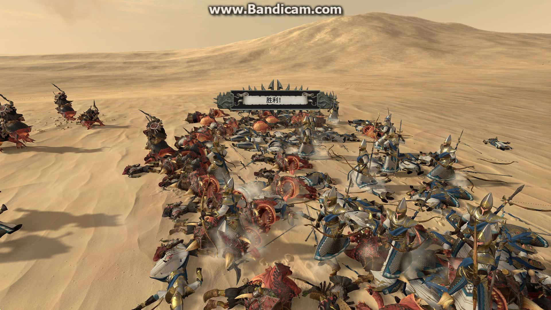 洛瑟恩海卫vs重甲史古格