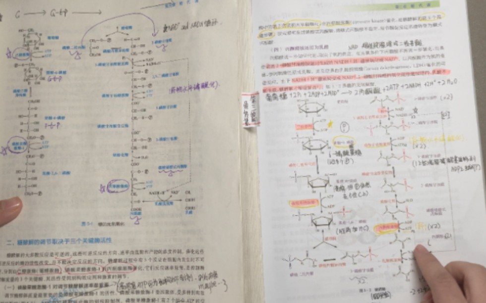 [图]医学生实用书本推荐！彩色高清《生物化学与分子生物学》换一本书提高一倍效率！