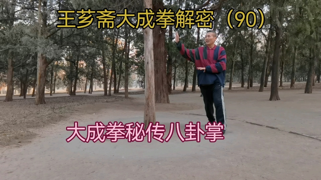 第90集|大成拳秘传原始八卦掌哔哩哔哩bilibili