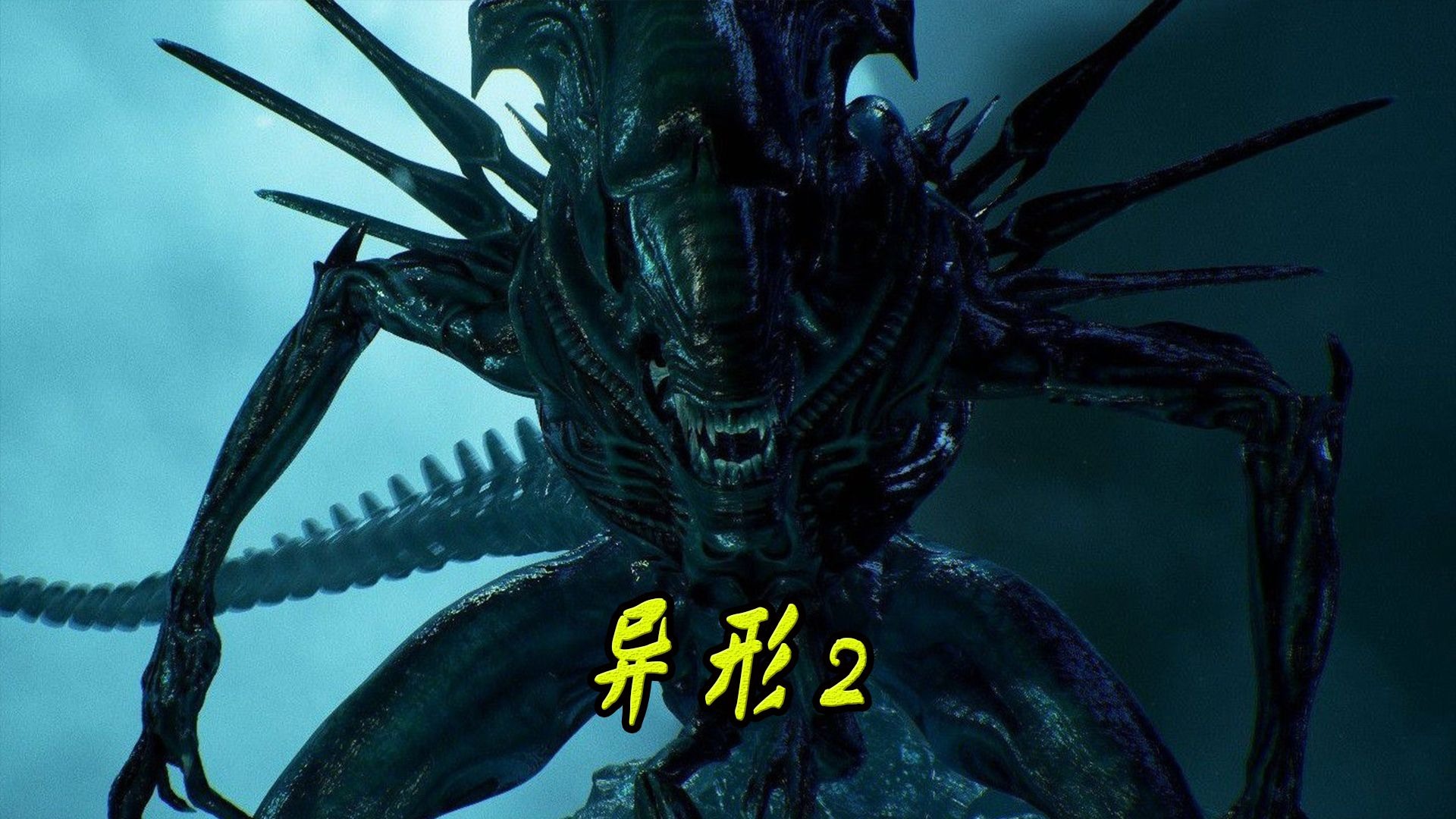 异形女皇震撼登场,展开疯狂报复!