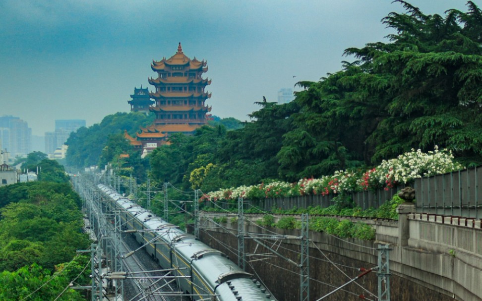 昨天拍的武汉长江大桥-黄鹤楼