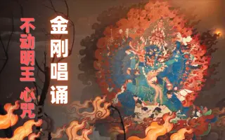 不动明王心咒 哔哩哔哩 Bilibili