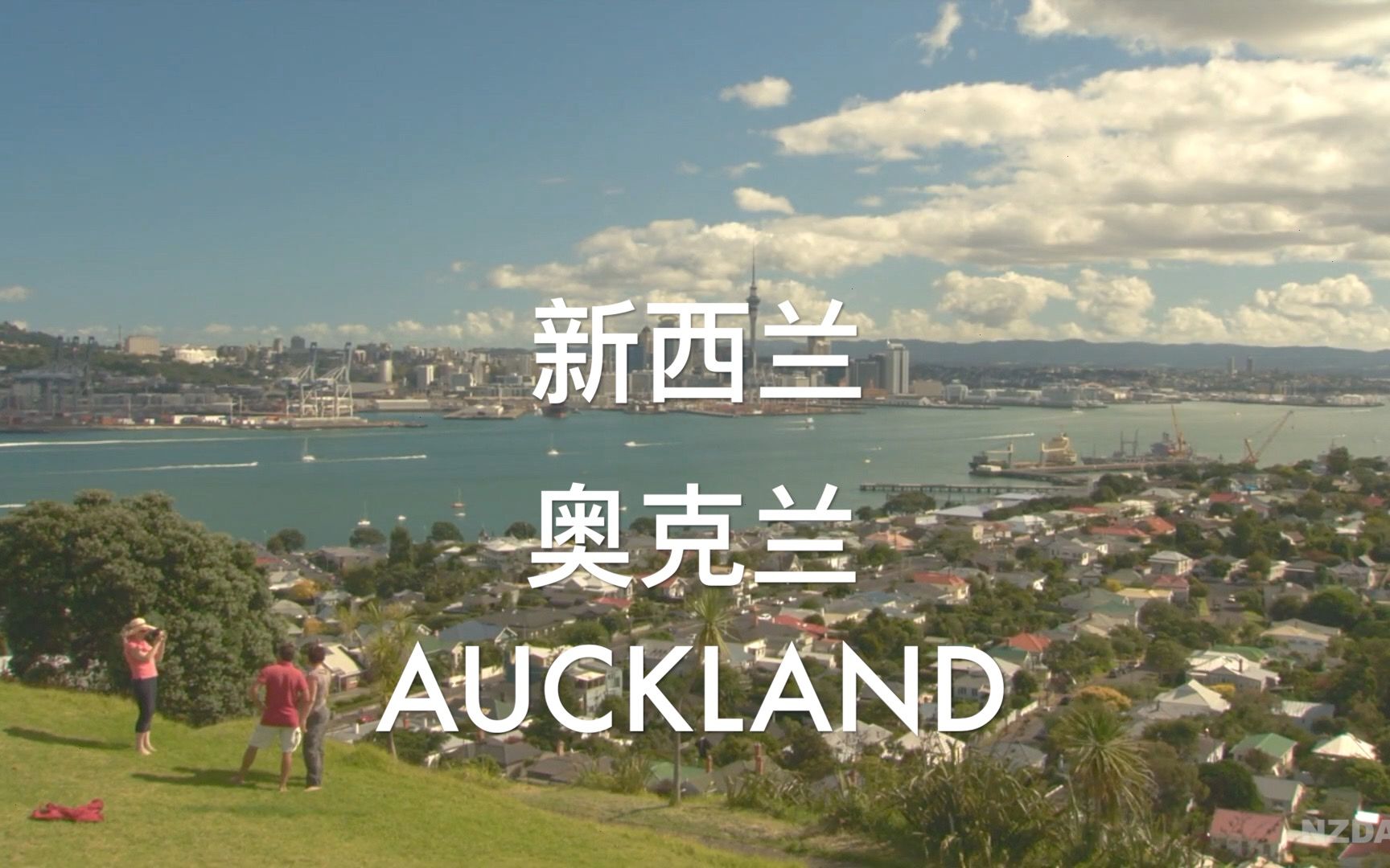 新西兰 奥克兰 Auckland 奥克兰房价哔哩哔哩bilibili