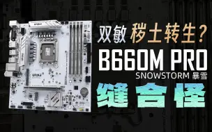 Download Video: 秽土转生，但是李鬼？双敏B660M PRO详细测评