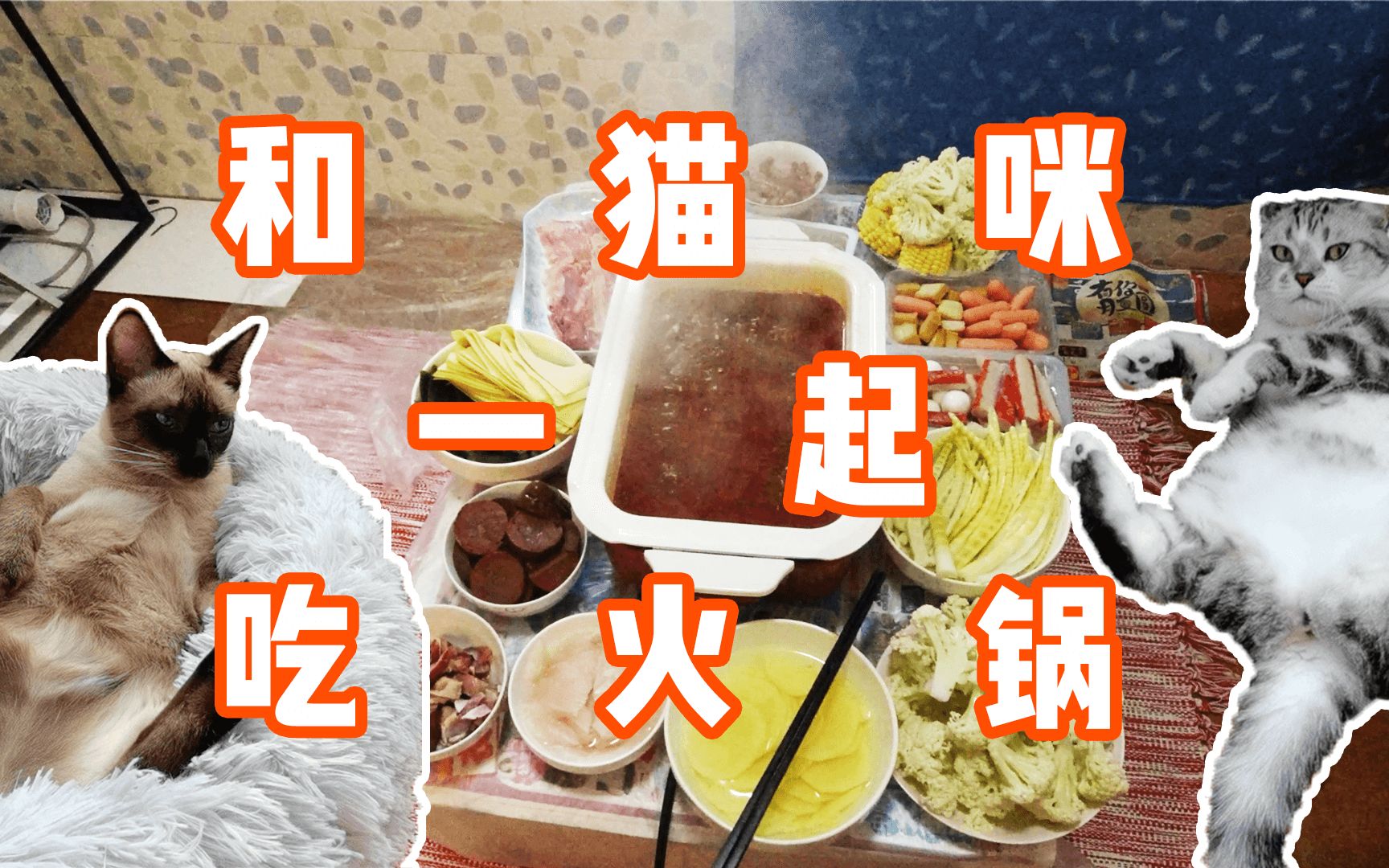 「四川话」天冷降温了和猫咪吃火锅,最后的饮料只有成都人才懂,看看喝