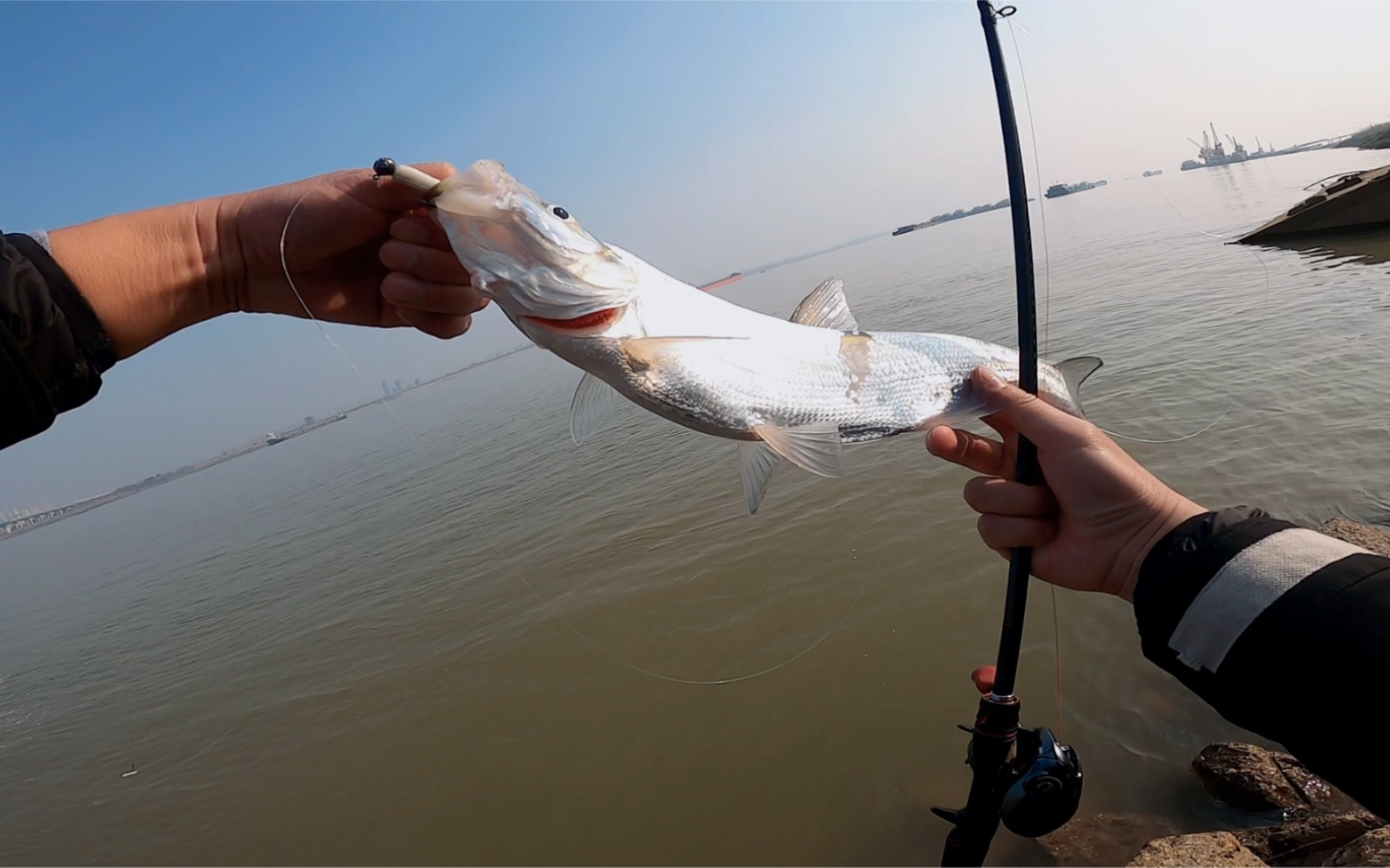 初春的窗口期上的小翘嘴一尾