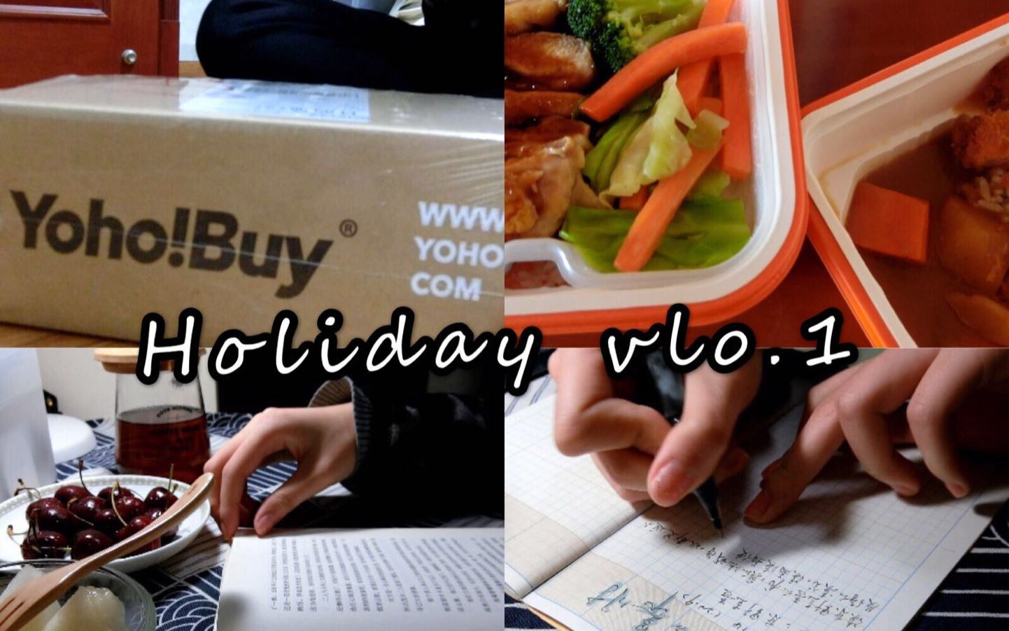 [图]HOLIDAY VLO.1（WHAT I HAVE DONE ONE DAY)