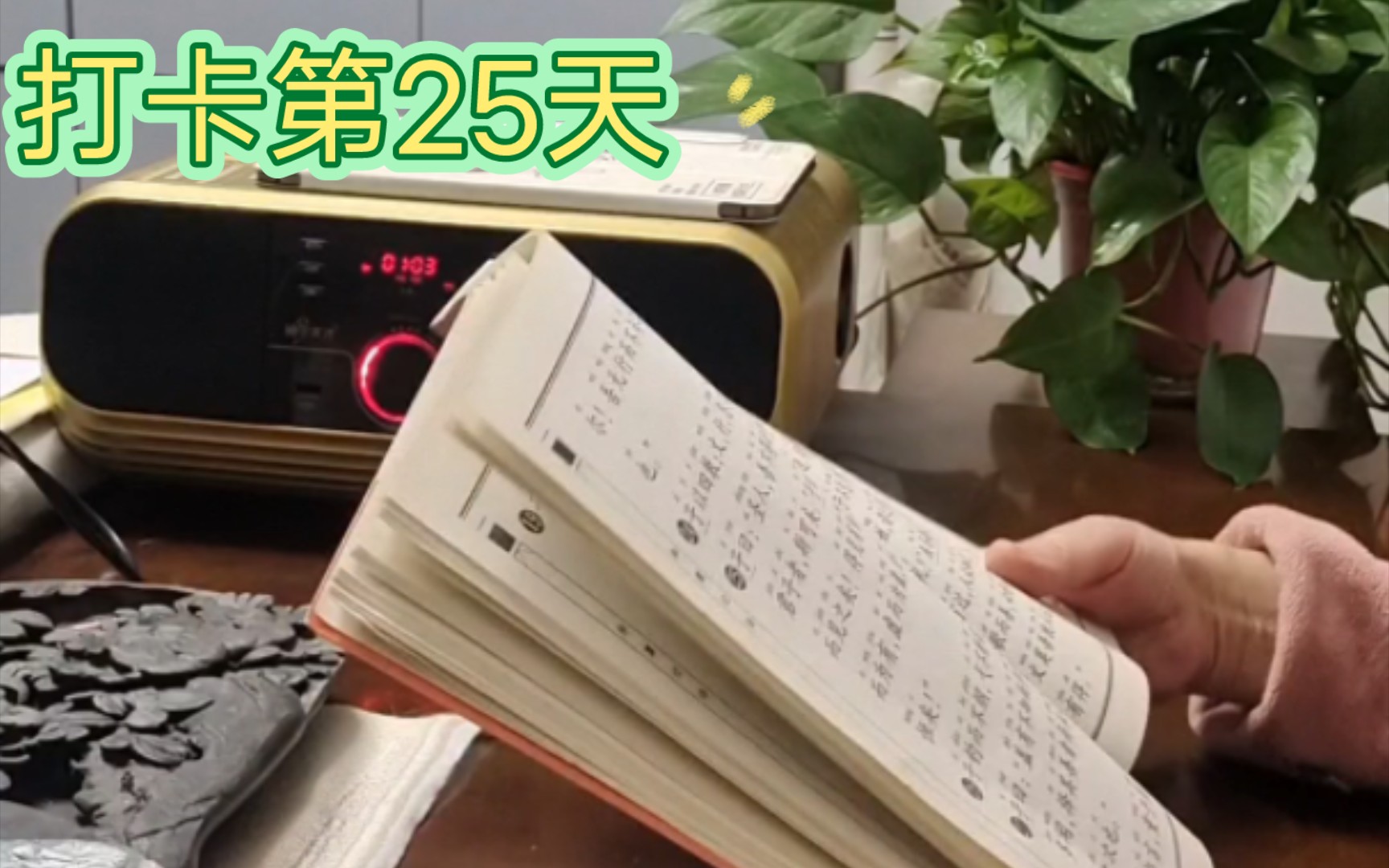 读书写字第25天哔哩哔哩bilibili