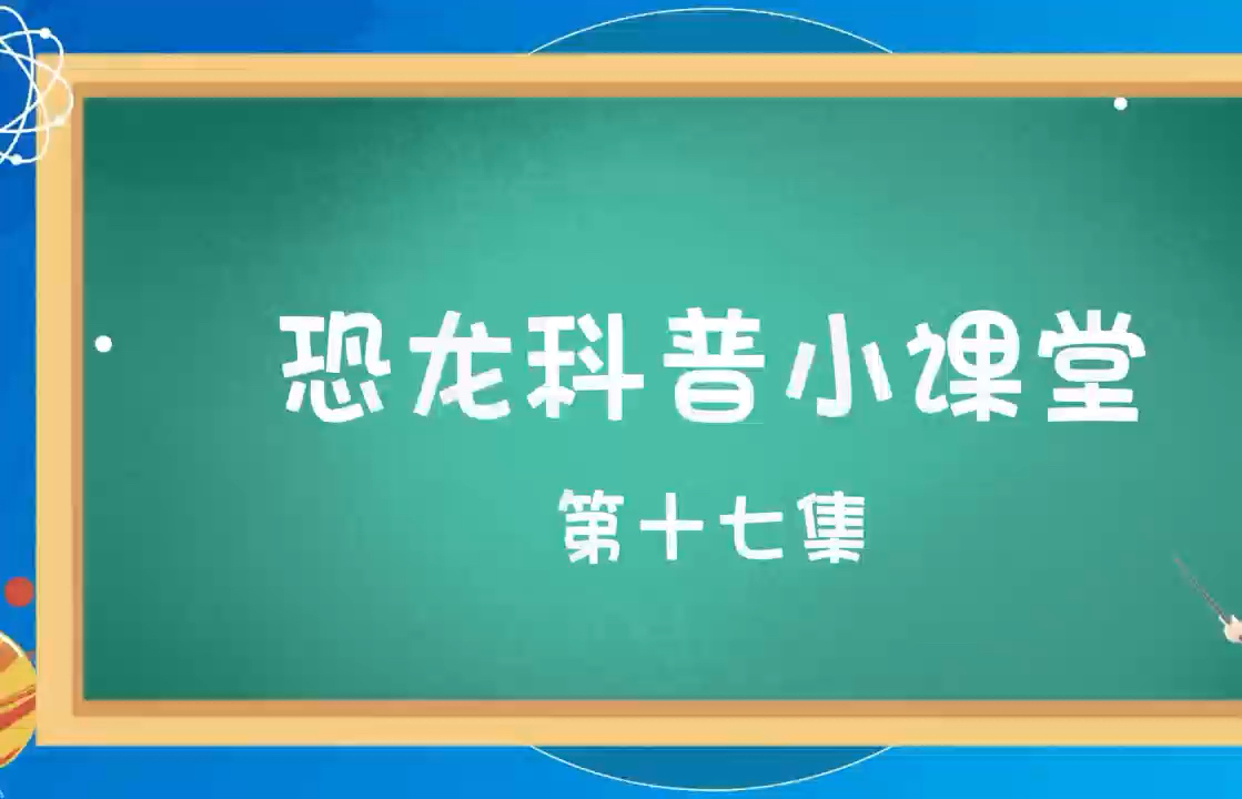 【海南归荑旅游】最新视频来袭,快来看看吧!哔哩哔哩bilibili