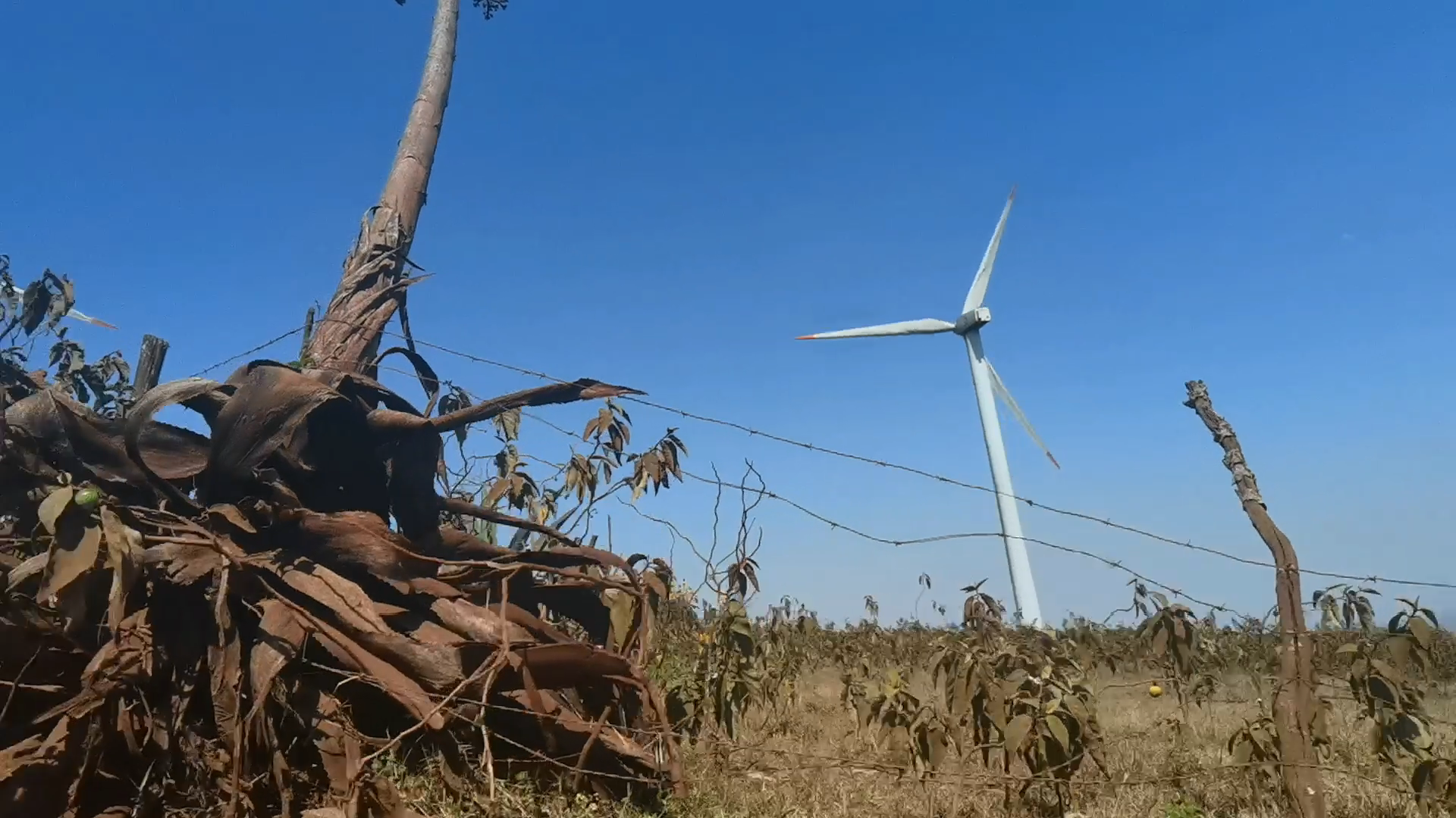 好久没有爬山了,今天来恩贡山嗨皮下!