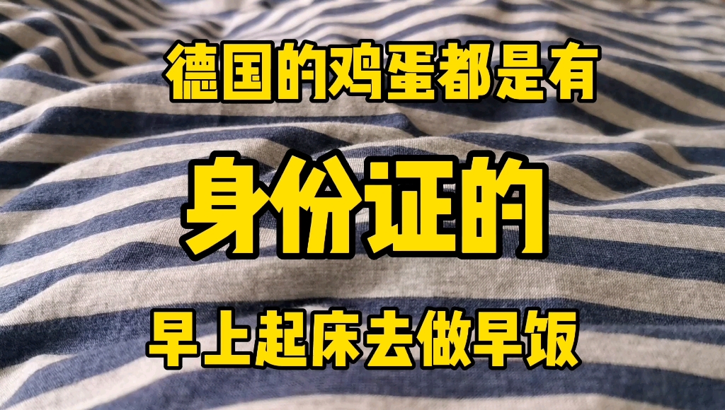 你知道吗?德国的鸡蛋都是有身份证的!哔哩哔哩bilibili