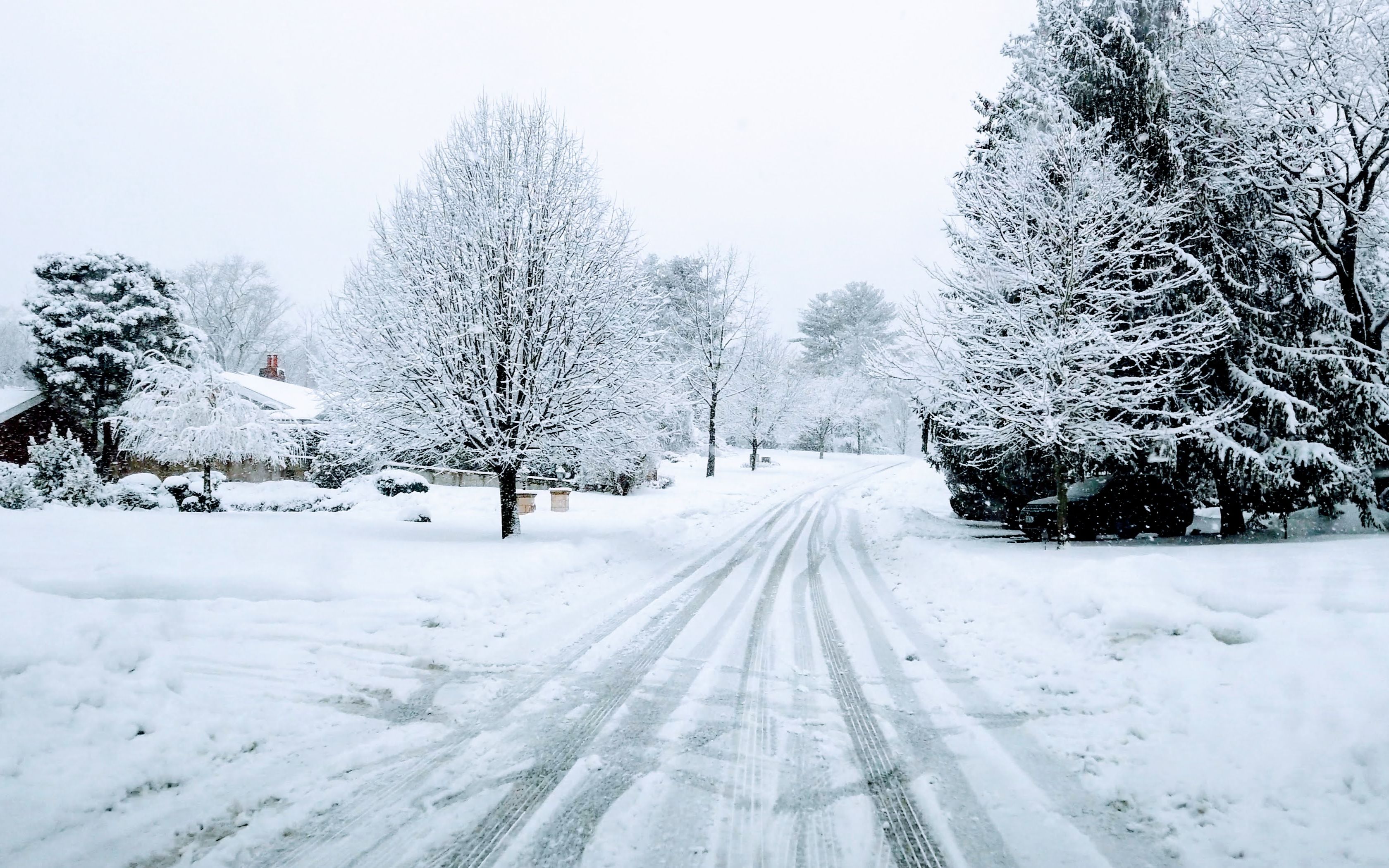 ❄️雪中行驶𐟚—纽约长岛居民区哔哩哔哩bilibili