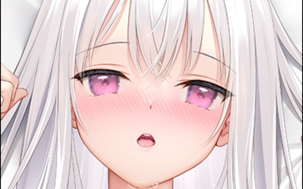 mignon works大佬至22年4月8g动漫合集 晚上分享盘会员极速券24h