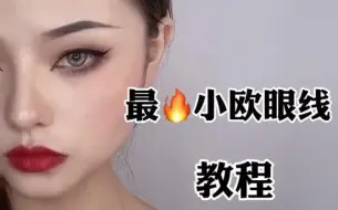 Descargar video: 最火小欧眼线教程