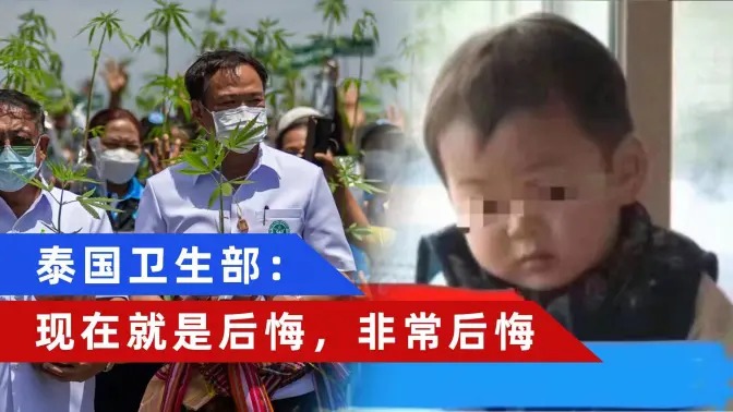 亚洲第一个大麻合法化的国家，现在后悔来得及吗？【乌鸦校尉】