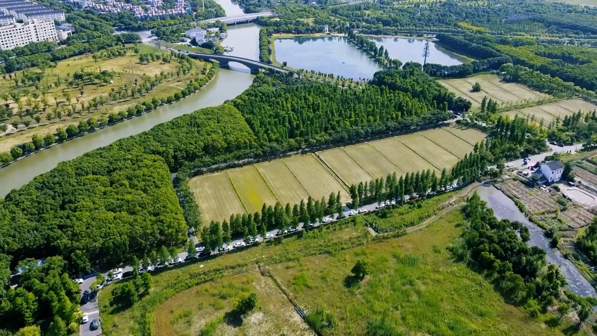 魔都航拍之广富林郊野公园