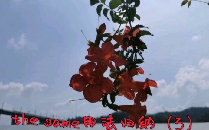 the same用法归纳(3)哔哩哔哩bilibili