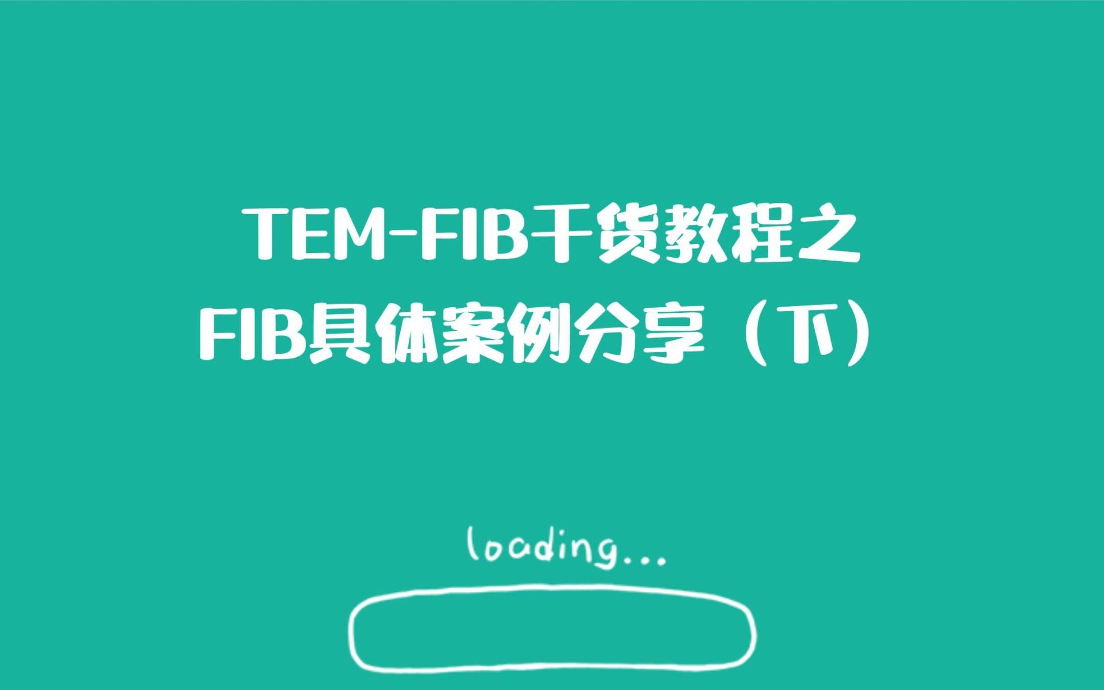 TEMFIB干货教程——FIB具体案例分享(下)哔哩哔哩bilibili