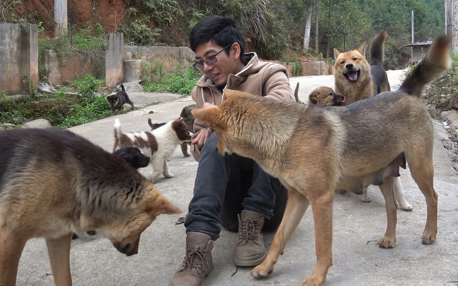 金洋兄弟:今天比较有空,抓两条小狗,看看听不听话