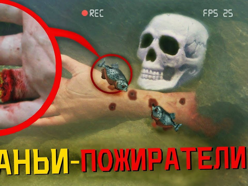 01:54 你们绝对不会相信,我的水下无人机捕获了食人鱼