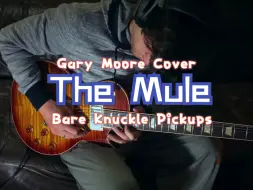 Download Video: Gary Moore - The Loner Guitar Cover _ Bare Knuckle The Mule