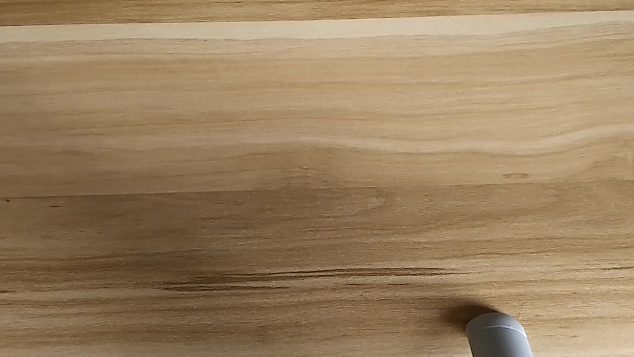 20周年元祖暴龙机