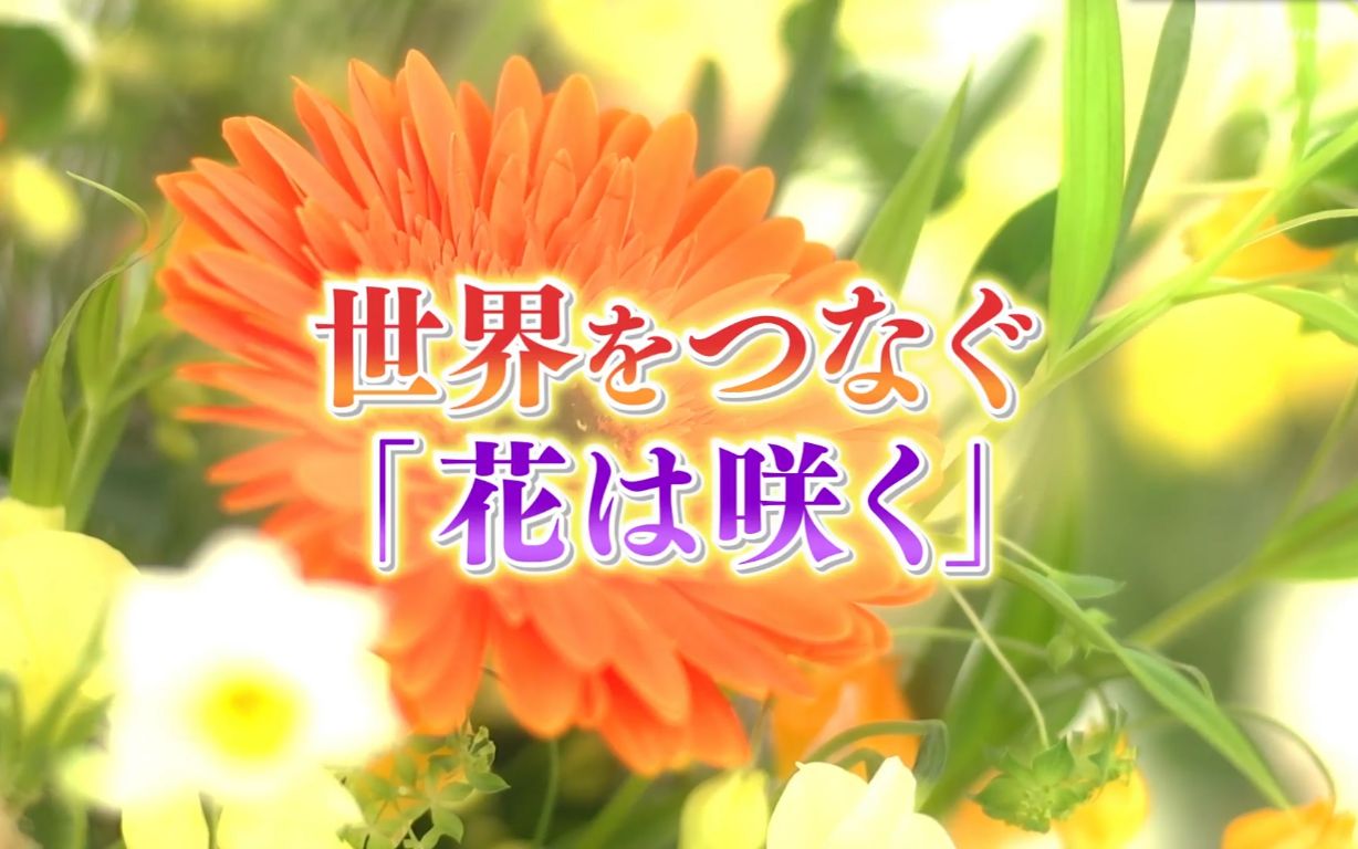 [图]【NHK纪录片】「花会再开」连接世界(311东日本大地震10周年特别企划)