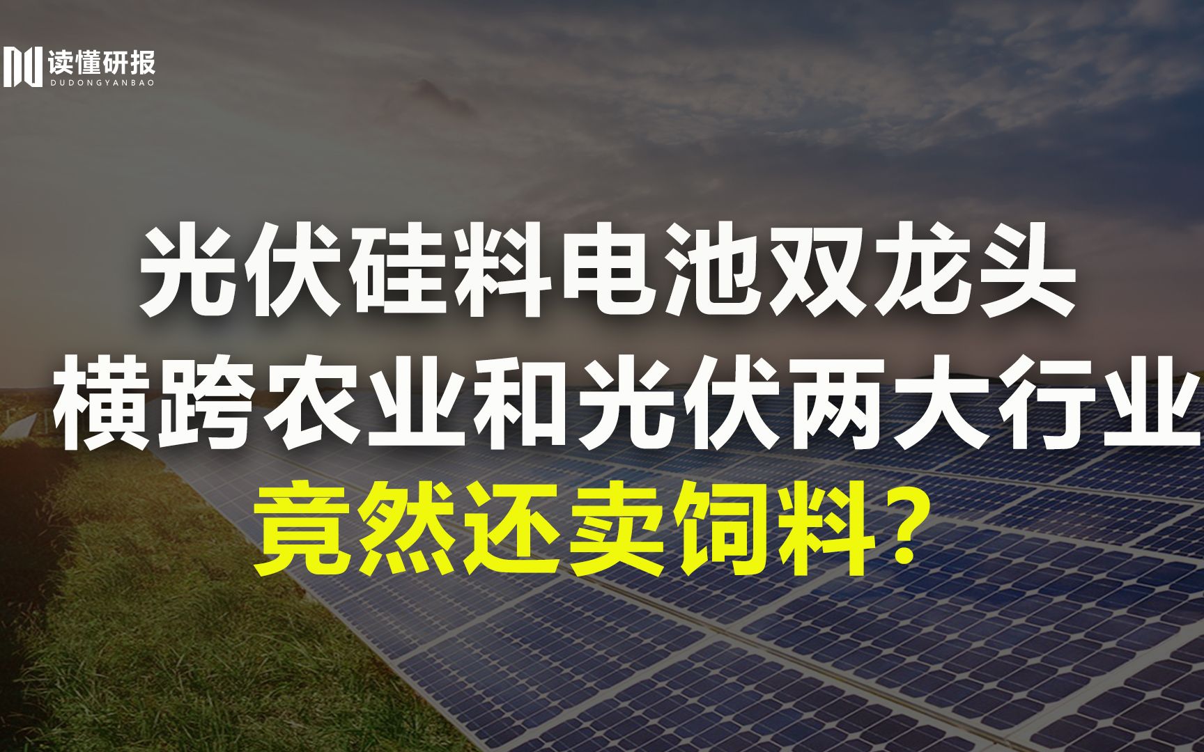 通威股份:光伏硅料电池双龙头,以饲料为基础切入光伏,它是如何运营的?哔哩哔哩bilibili