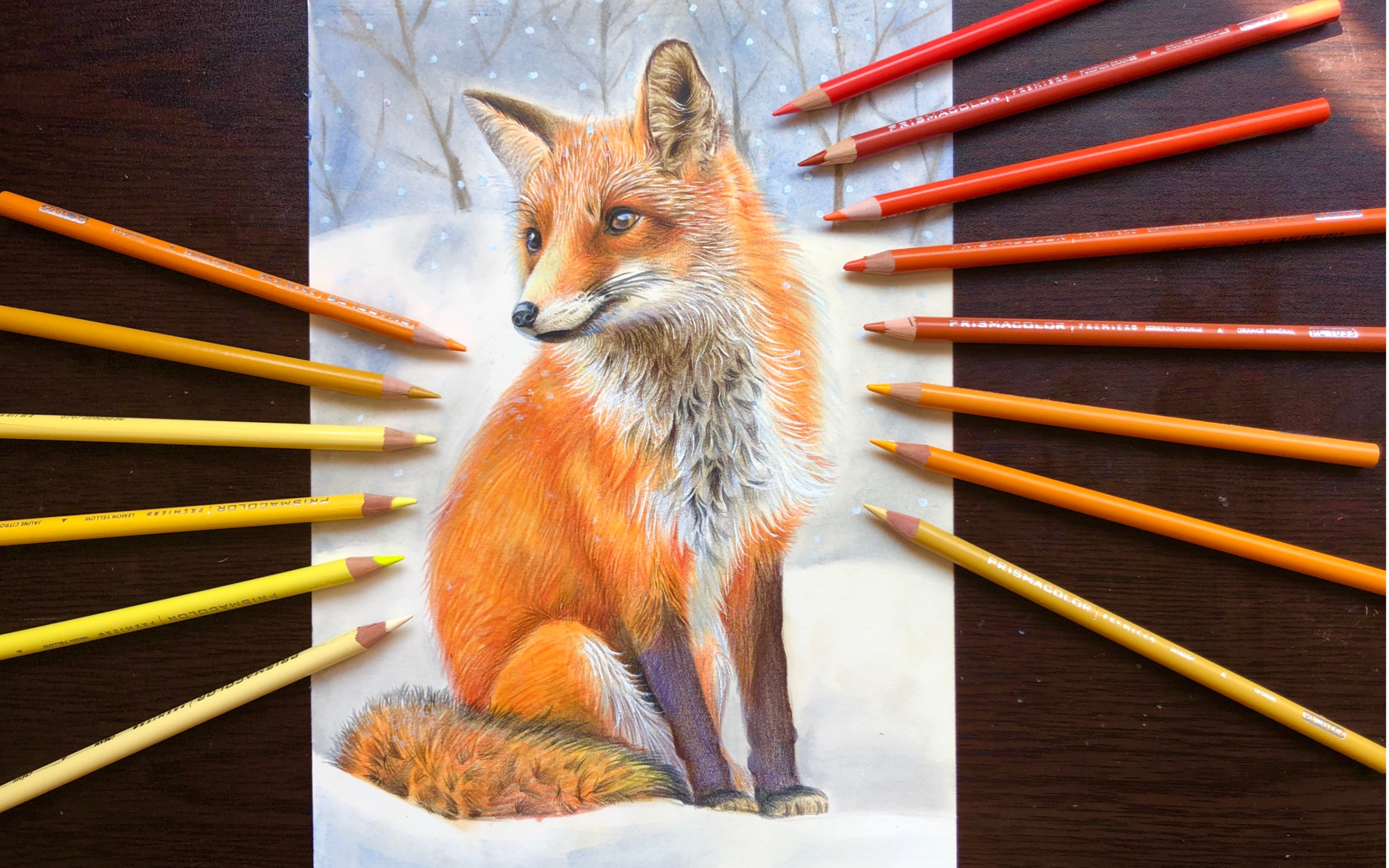 彩铅色粉手绘插画教程,冬天的小狐狸