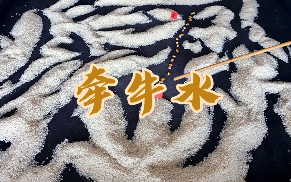 牵牛水,卢仕恩分享!