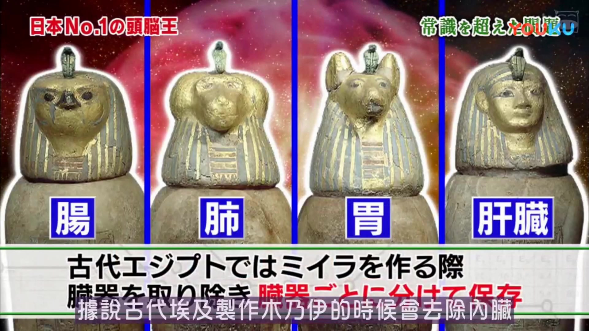 日本头脑王挑战,简直难于上青天_哔哩哔哩_bilibili