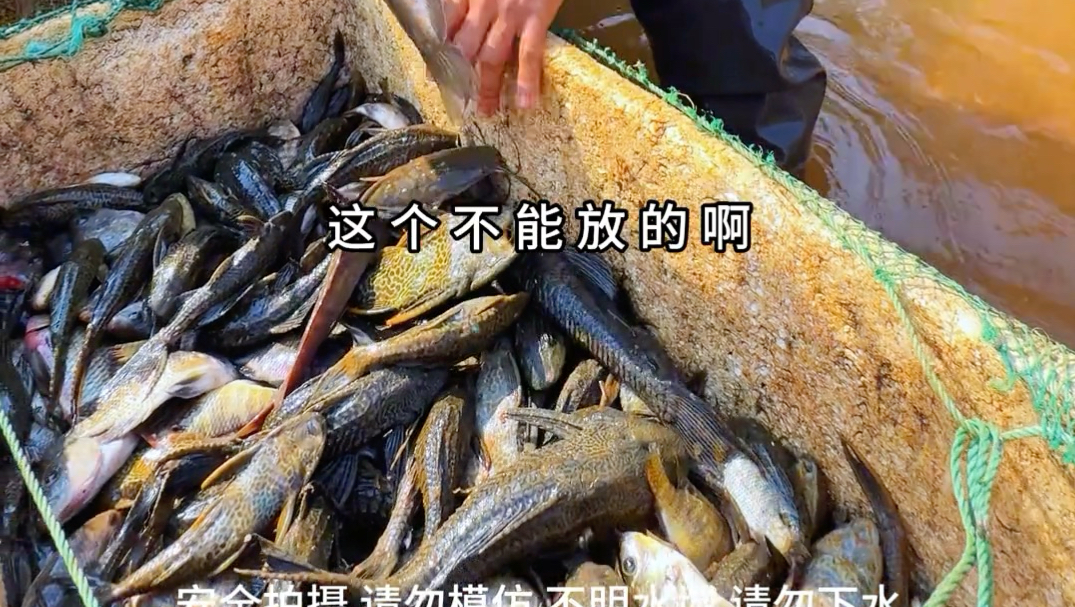 生态专题封面