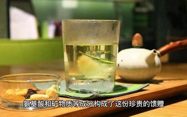 「茶文化」探寻绿茶中的有益化合物!哔哩哔哩bilibili