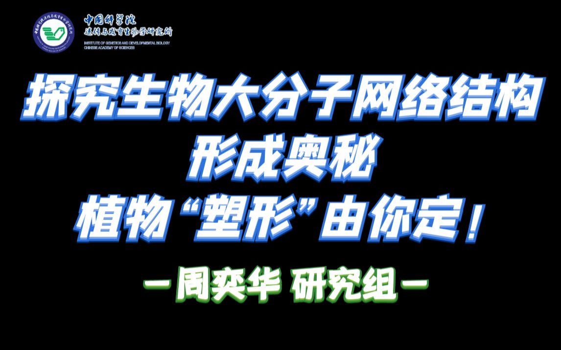 探究生物大分子网络结构形成奥秘,植物“塑形”由你定!——【周奕华】研究组哔哩哔哩bilibili