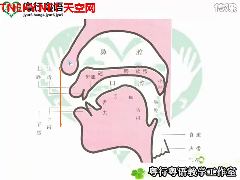 [图]03粤语音标录播课程（粤语拼音）13节课