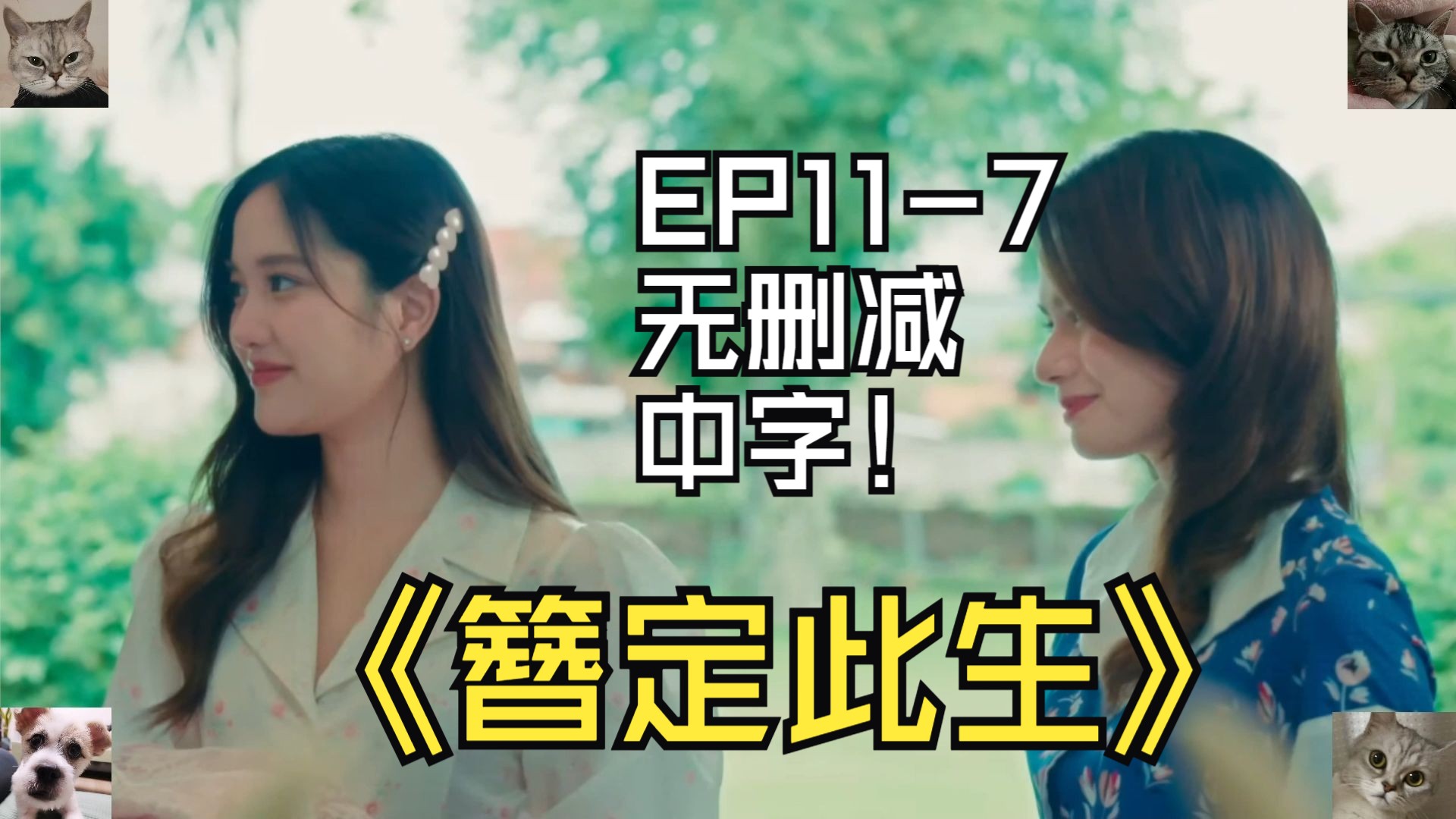 簪定此生EP117无删减中字哔哩哔哩bilibili