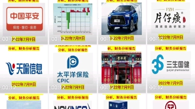 [图]A股沪深上市公司2022年财务报表分析，财务分析报告