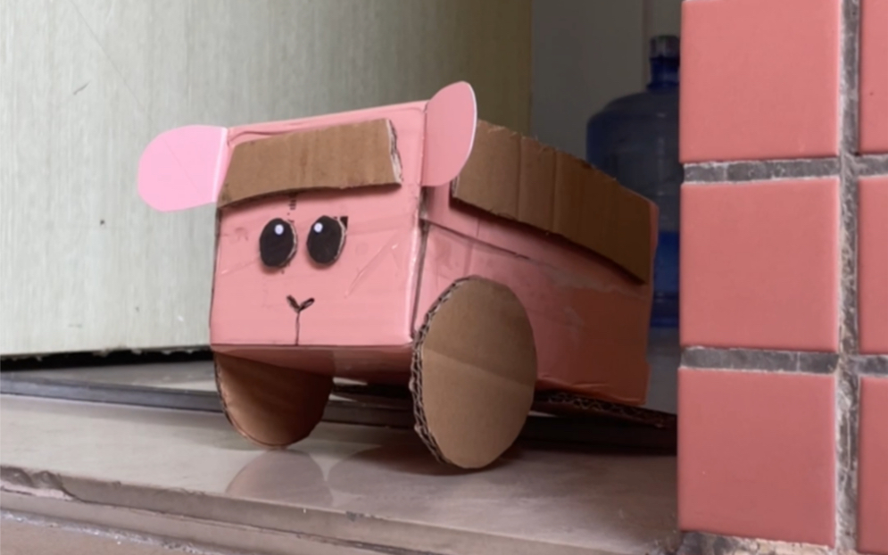 在宿舍养上天竺鼠车车了!